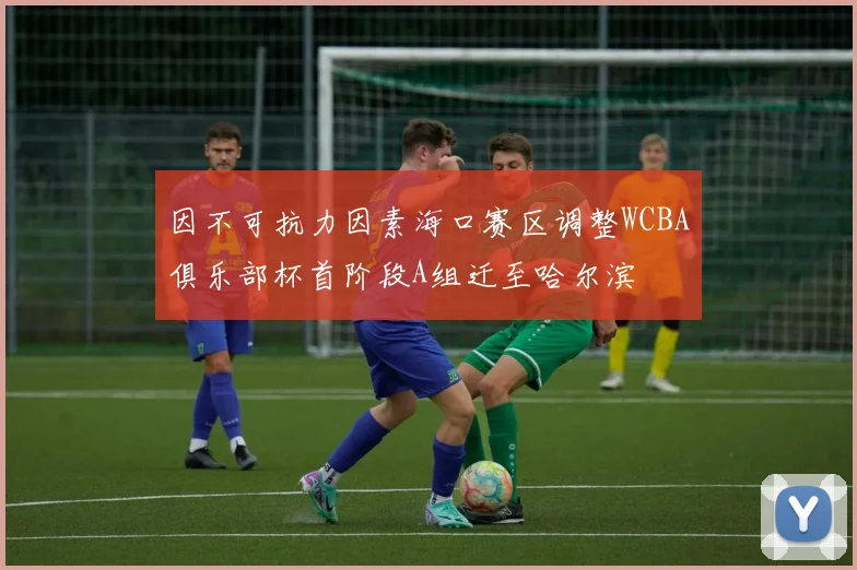 因不可抗力因素海口赛区调整WCBA俱乐部杯首阶段A组迁至哈尔滨