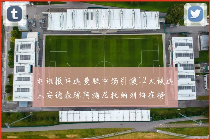 电讯报评选曼联中场引援12大候选人安德森琼阿梅尼托纳利均在榜