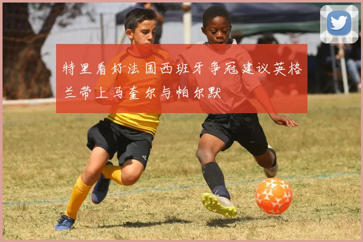 特里看好法国西班牙争冠建议英格兰带上马奎尔与帕尔默